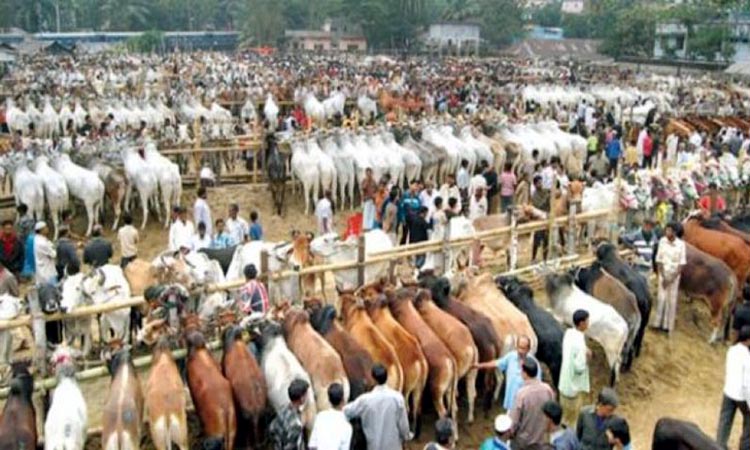 ঢাকাসহ ৪ স্থানে হাট না বসানোর সুপারিশে ‘বিব্রত’ অধিদফতর