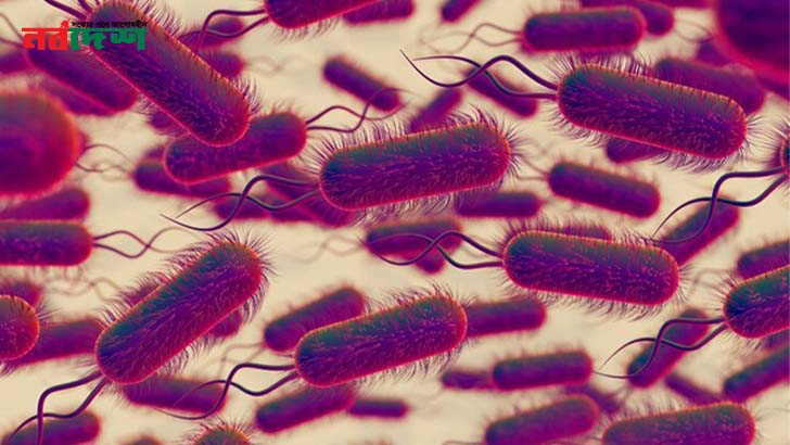 বিপজ্জনক হয়ে উঠছে টাইফয়েড, বিশ্ব জুড়ে সংক্রমণ ঘটাচ্ছে ব্যাক্টেরিয়ার ৩ হাজার রূপ, চিন্তা এ দেশেও